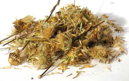 Herbs and Resins