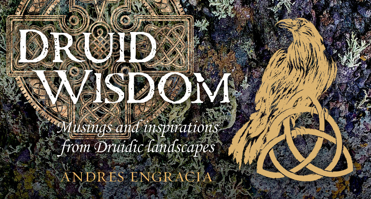 Druid Wisdom Inspiration Cards by Andres Engracia