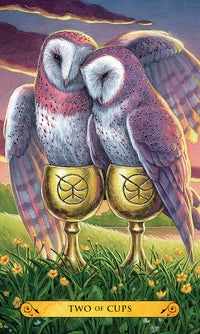2 of cups card