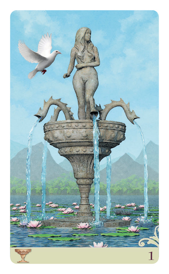 ace of cups card