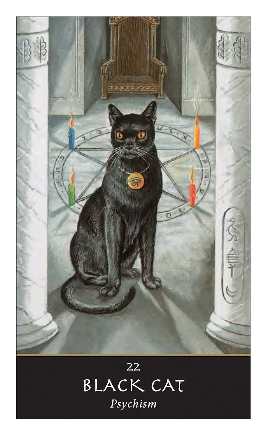 black cat card