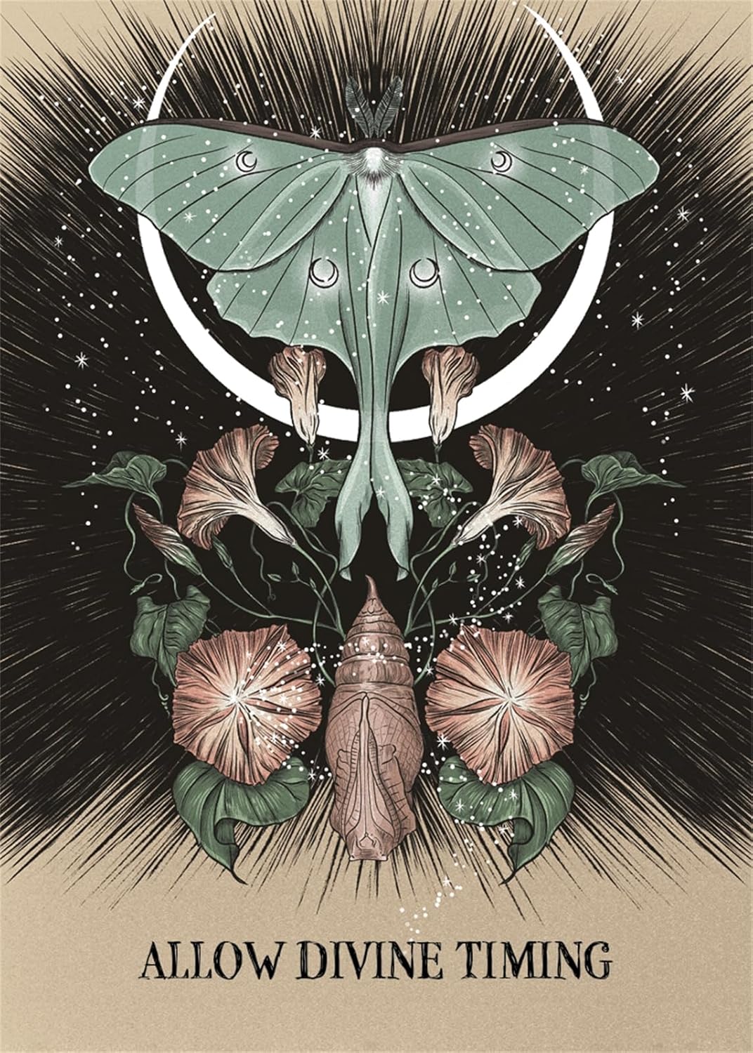 Artistic design of a butterfly and flowers with 'Allow Divine Timing' text on a dark background.