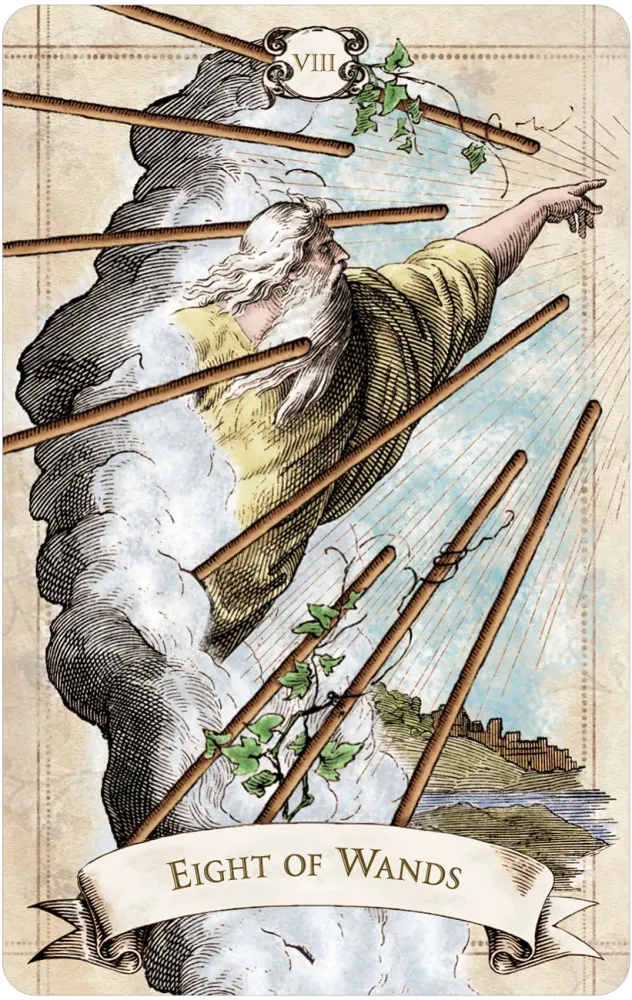 eight of wands card