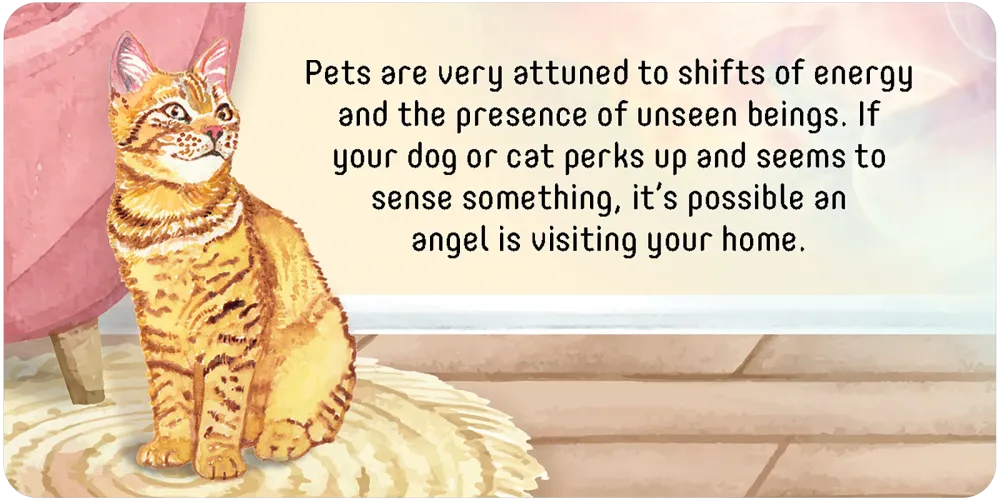 pets card