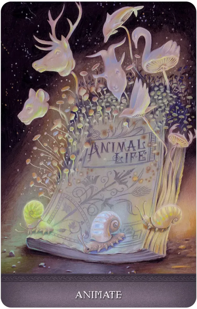 animate card