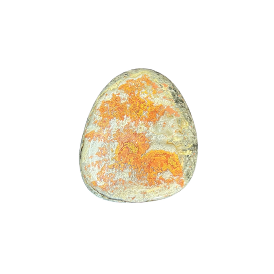 Bumblebee Jasper Polished Freeform