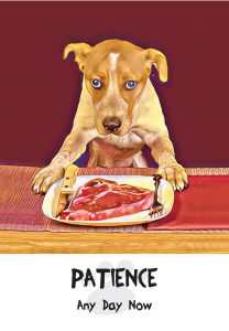 patience card