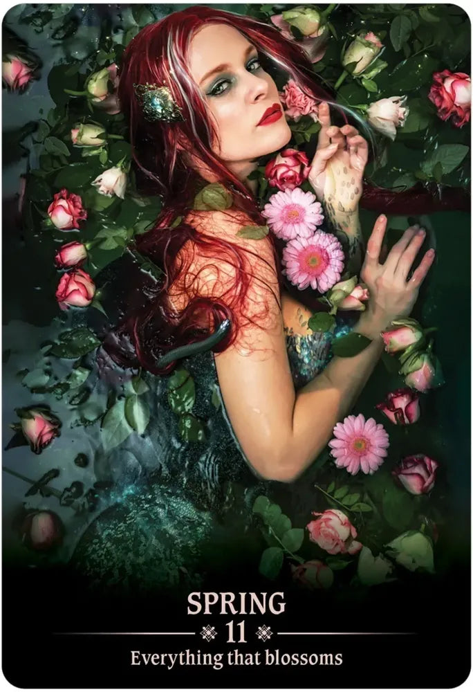 11; spring card