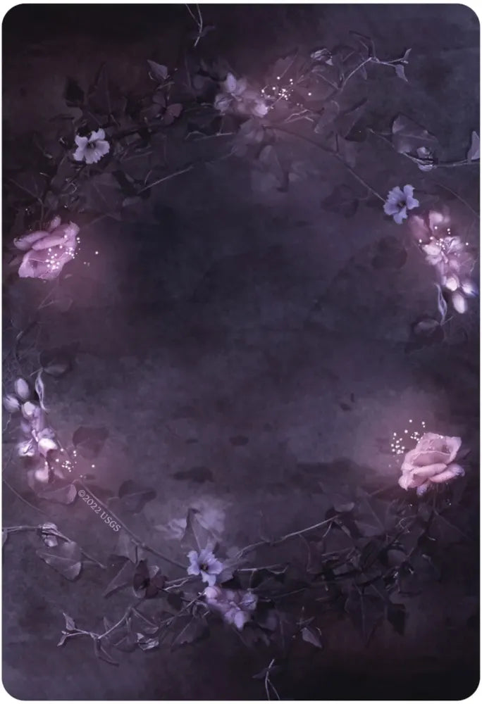 oracle deck card back
