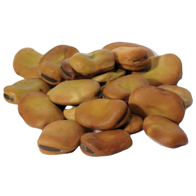 mojo wish bean 1oz