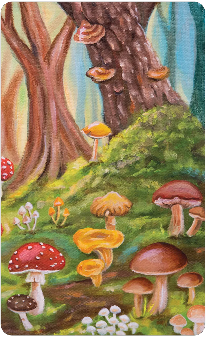 Mushroom Folk Oracle