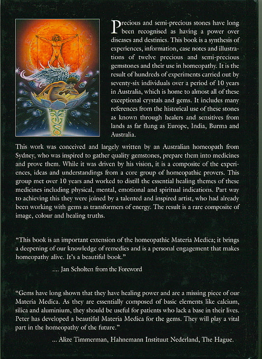 Twelve Jewels by Peter Tumminello