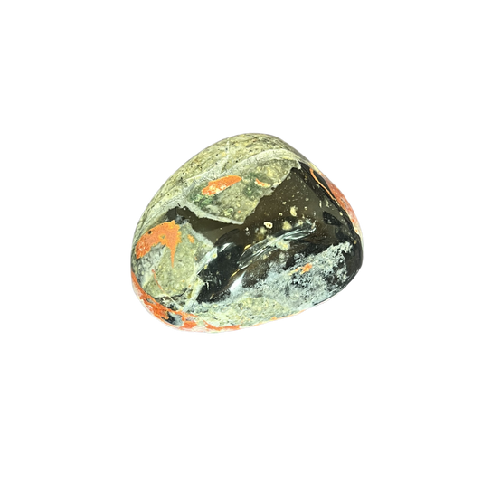Bumblebee Jasper Freeform