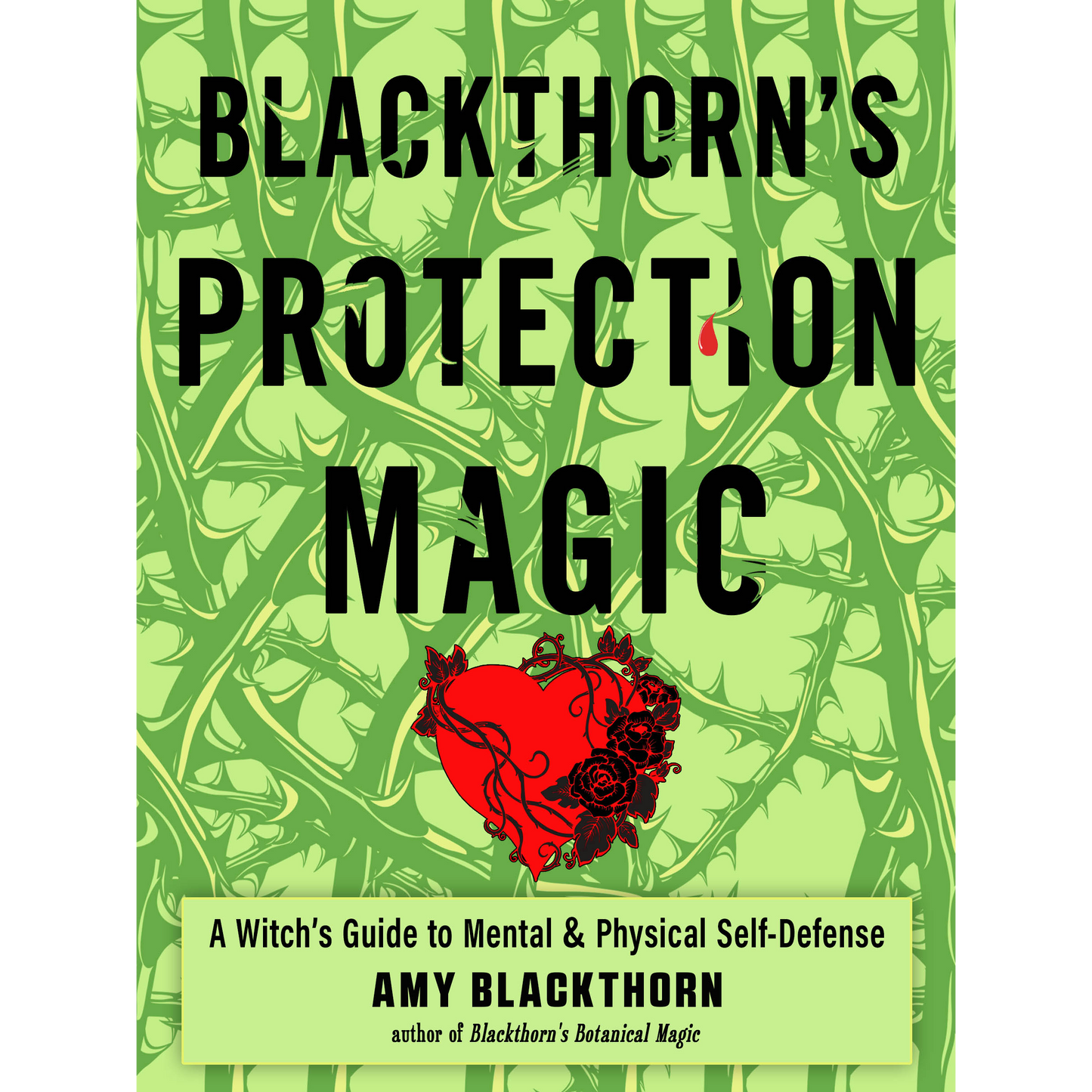 Blackthorn's Protection Magic