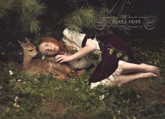 Faerie Handbook
