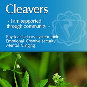 whispering herbs cleavers