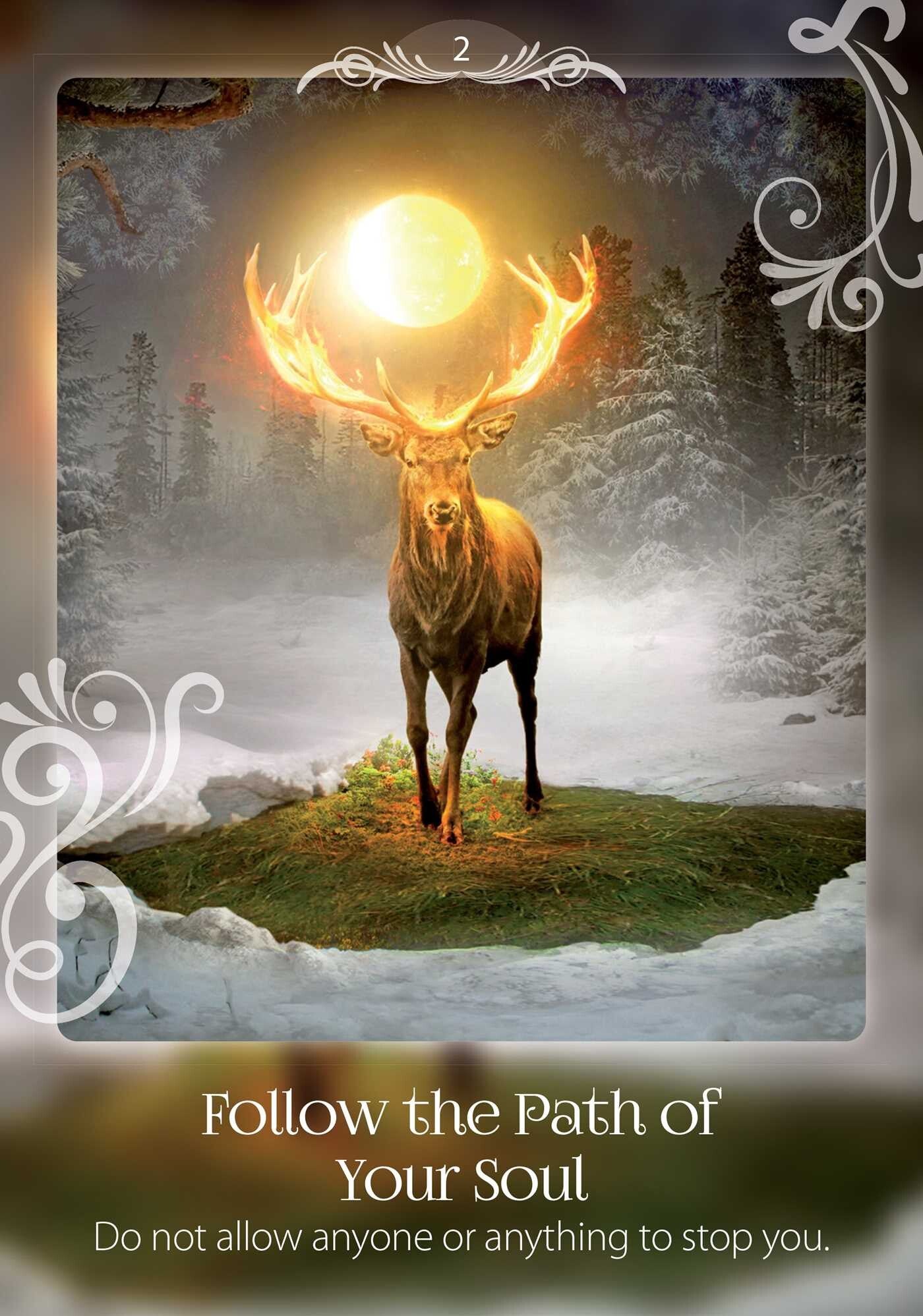 follow the path of your soul card