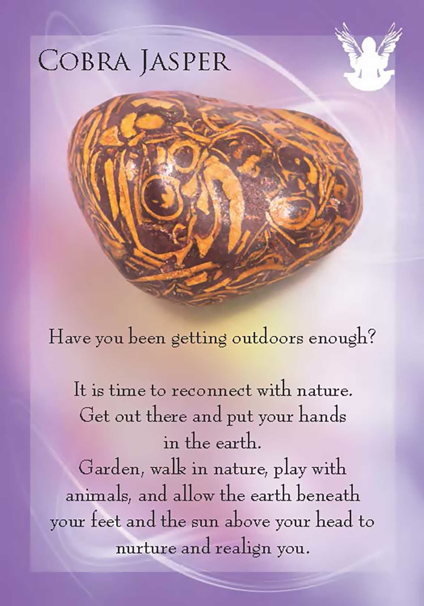 cobra jasper card