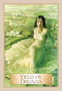 field of dreams card