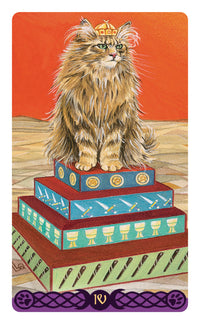 IV card