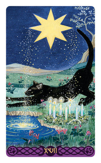XVI card