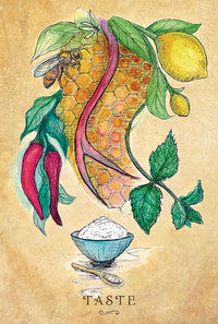 Taste card