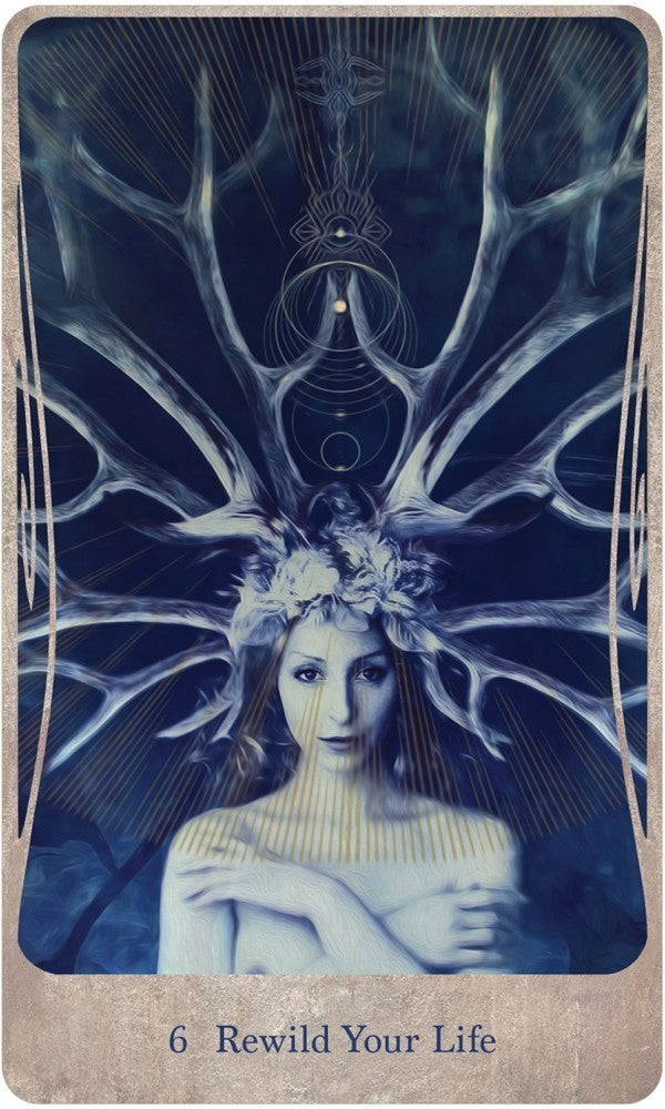 6; rewild your life card