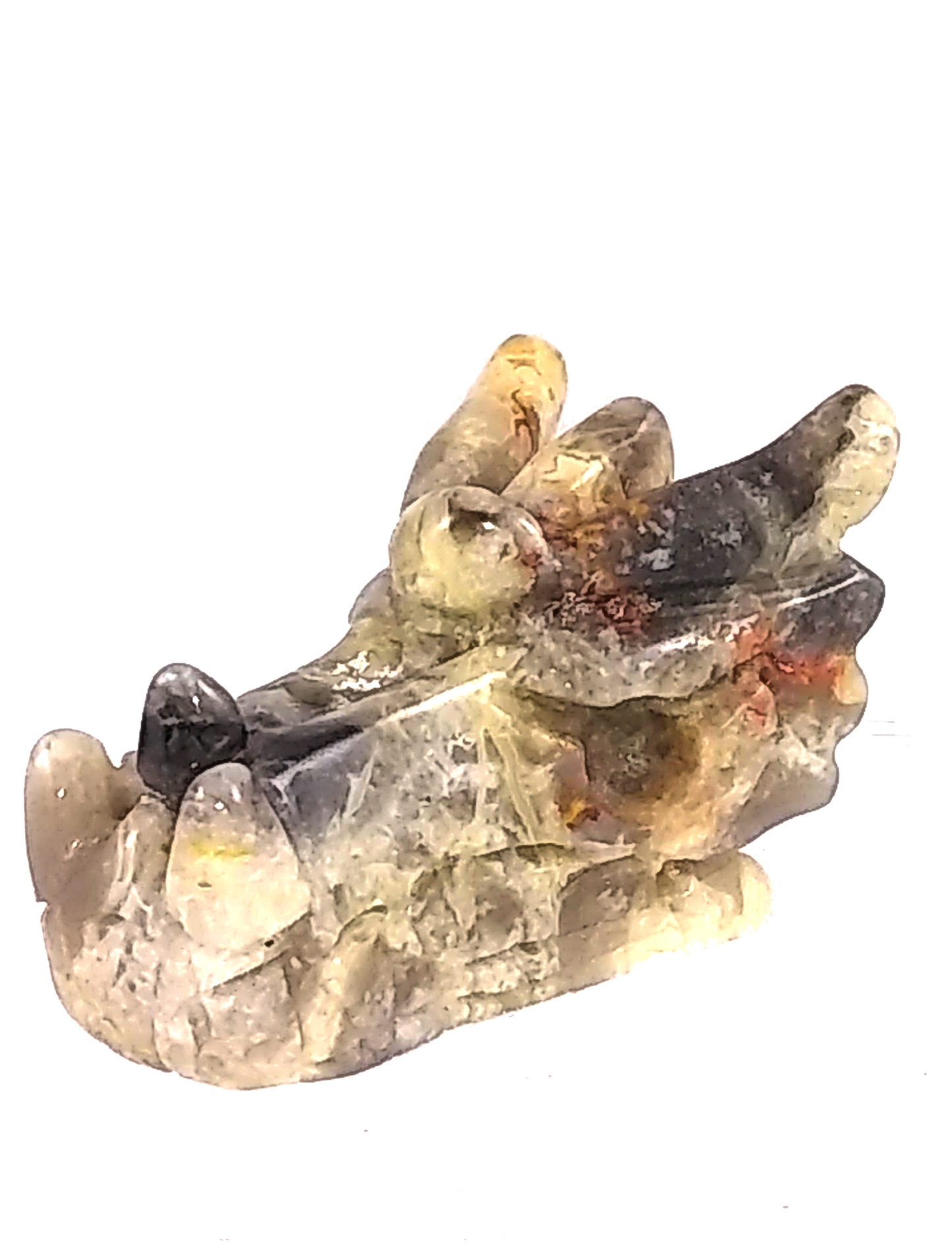 crazy lace agate dragon skull