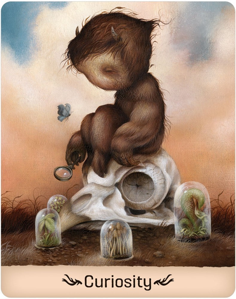 curiosity card