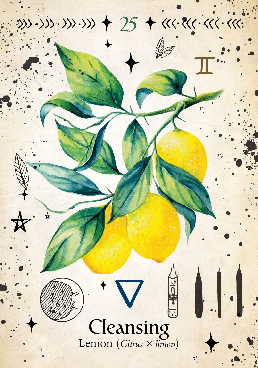 cleansing card