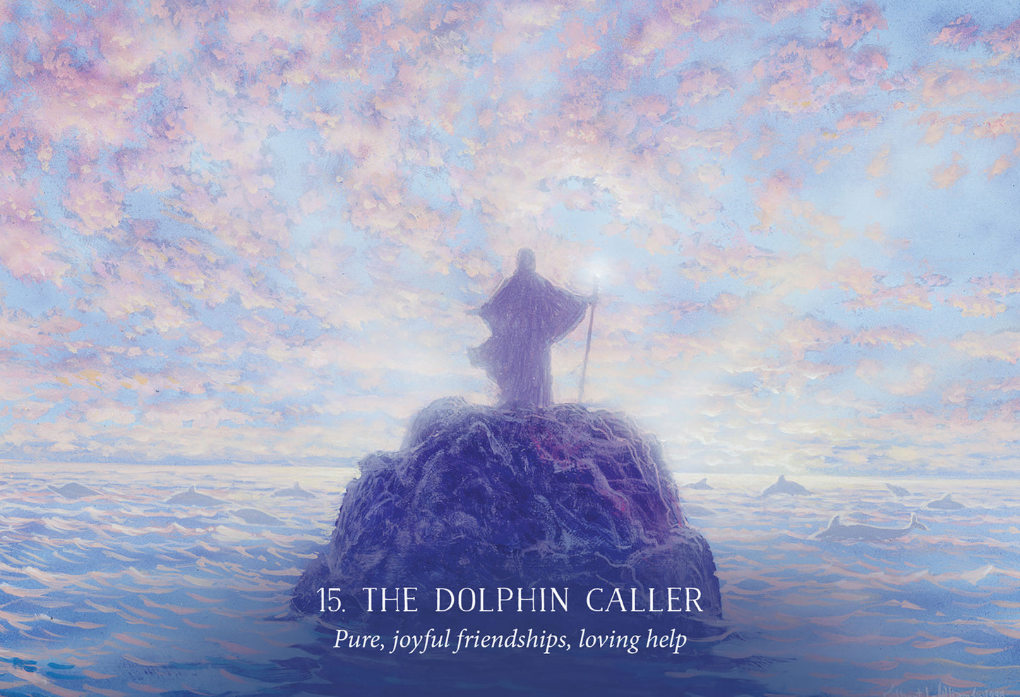 the dolphin caller card