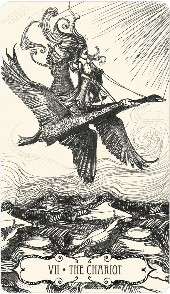 The Chariot card