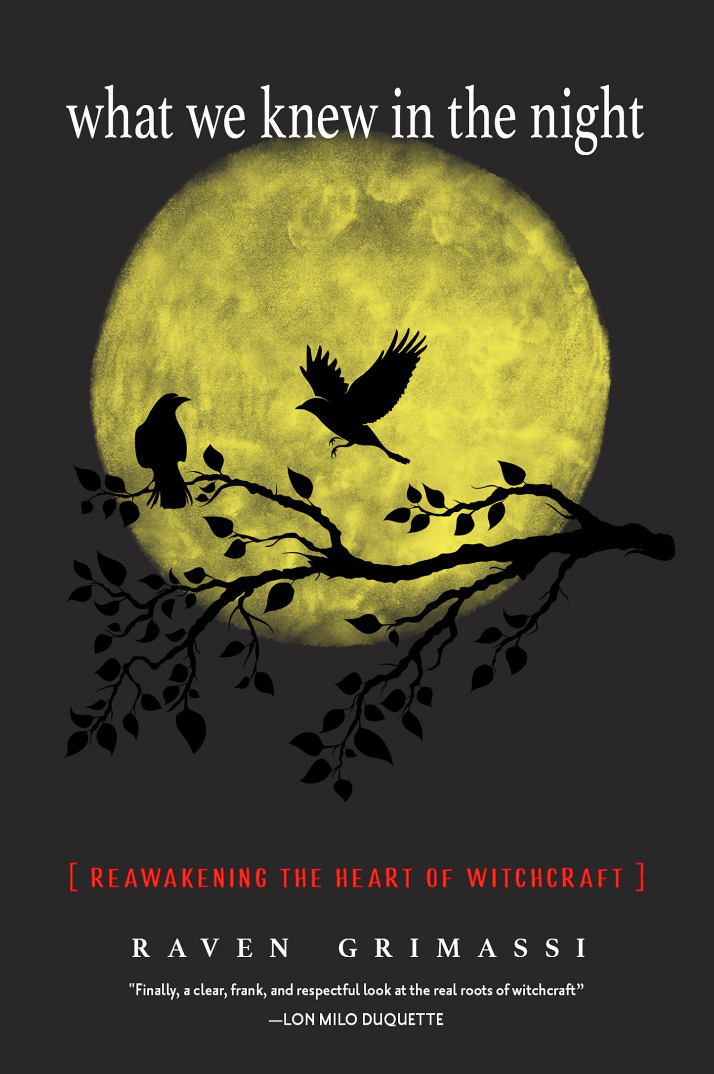What We Knew In The Night