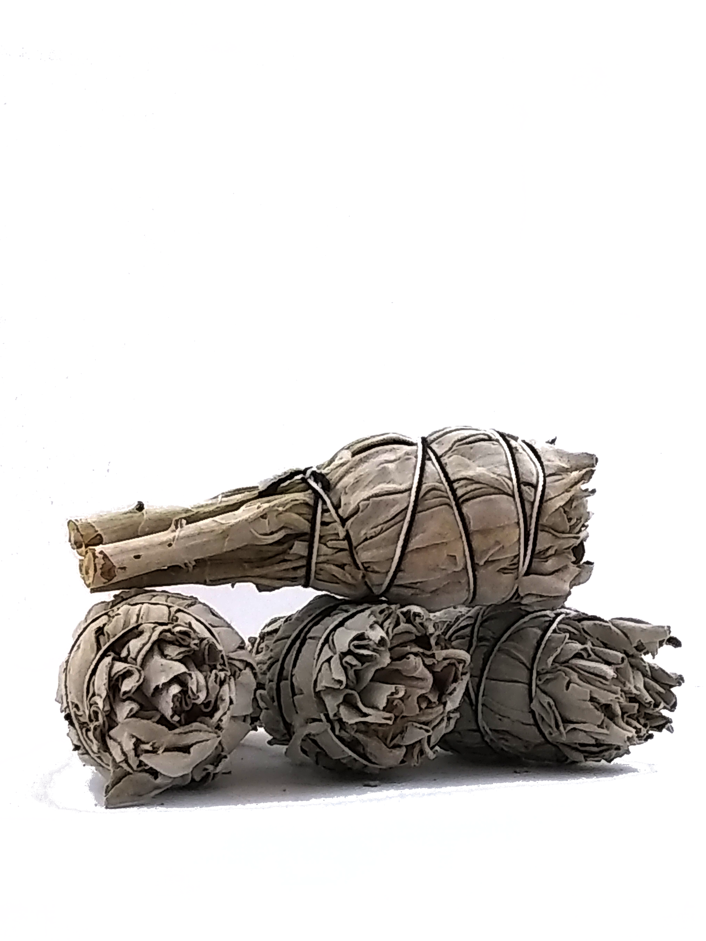 White Sage small