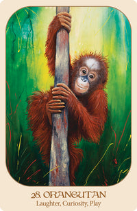 orangutan card