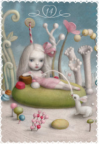 14 card