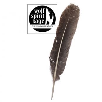 turkey wing smudging feather