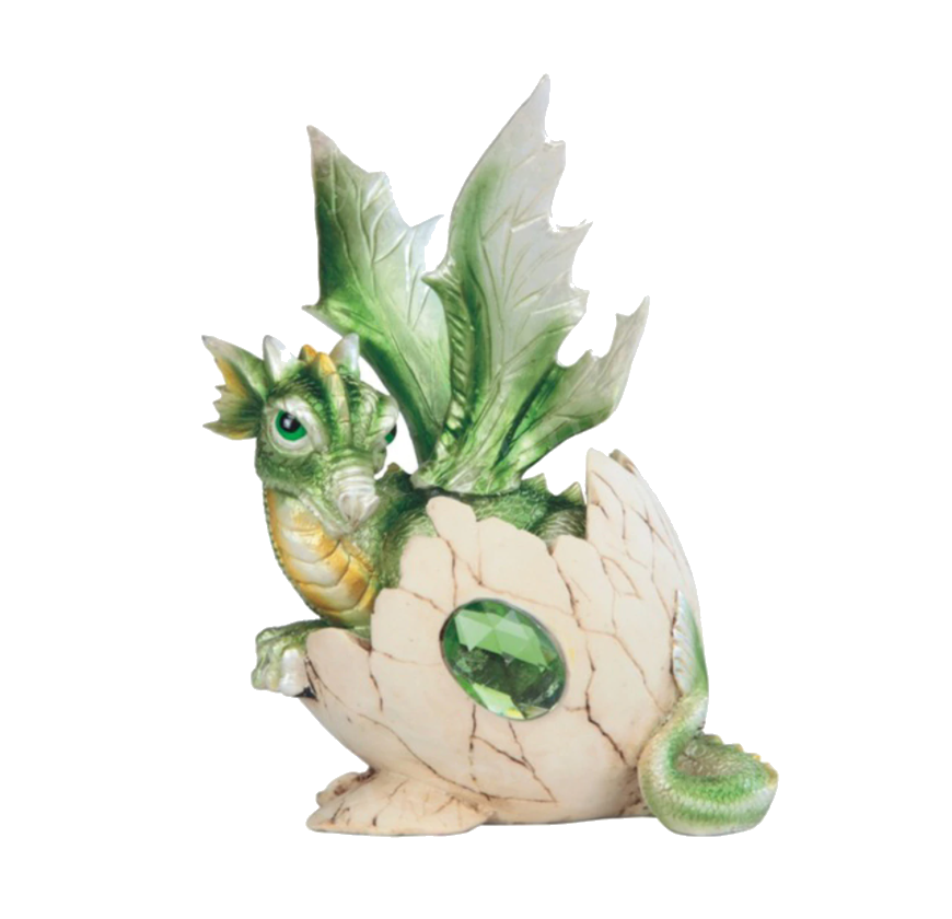 green dragon egg August