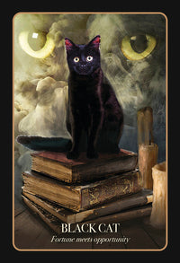 black cat card