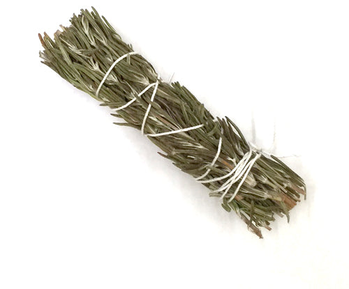 Rosemary Bundle (4")