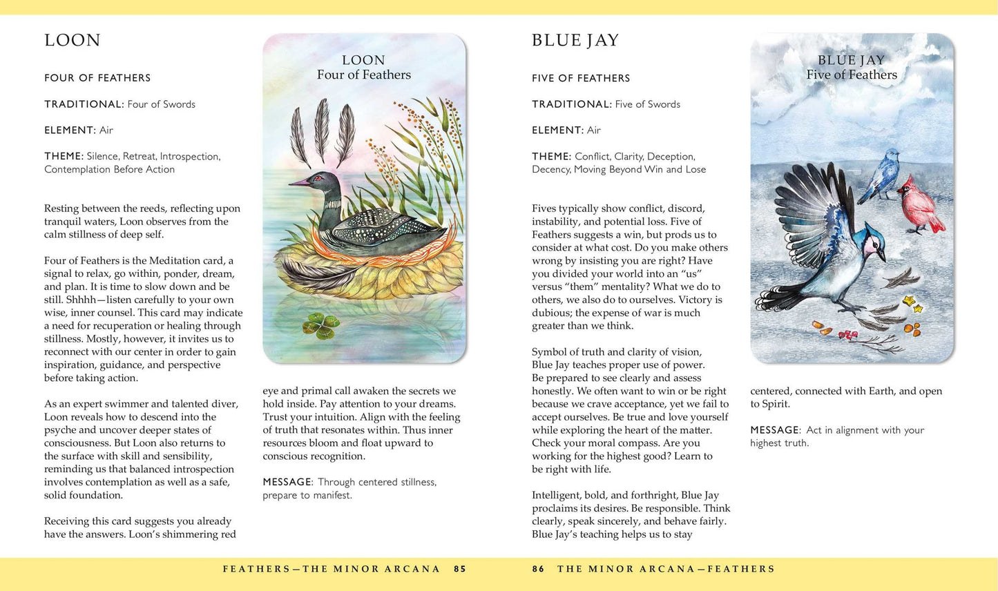 loon and blue jay cards