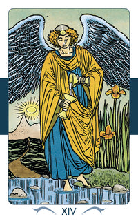 14 card