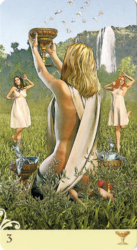3 of cups card back