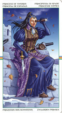 princess of swords card
