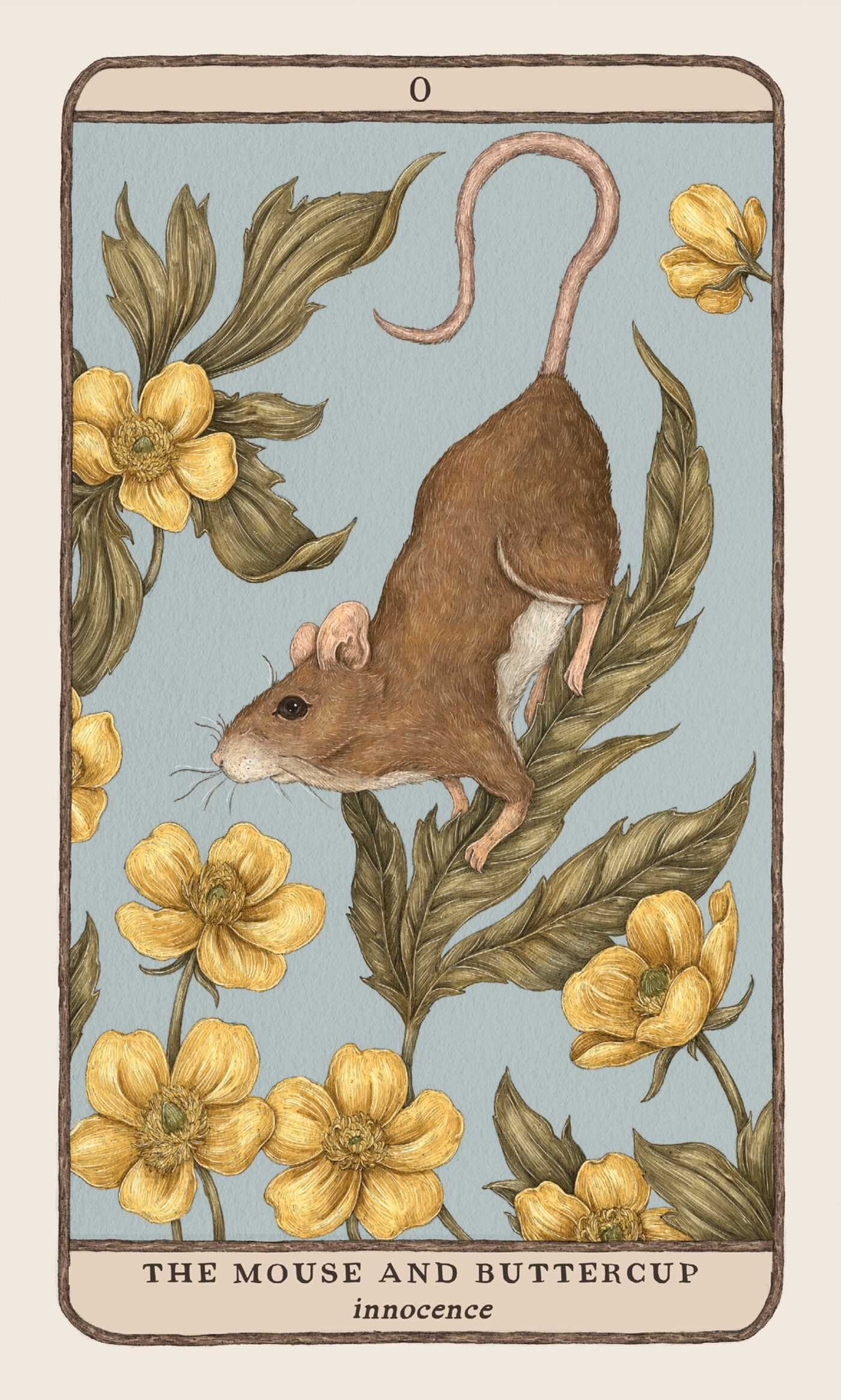 the mouse and the buttercup card
