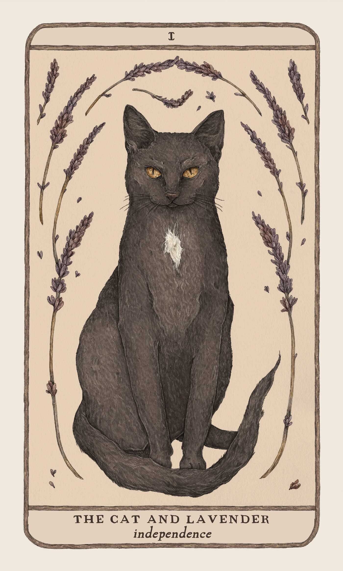 the cat and lavender card