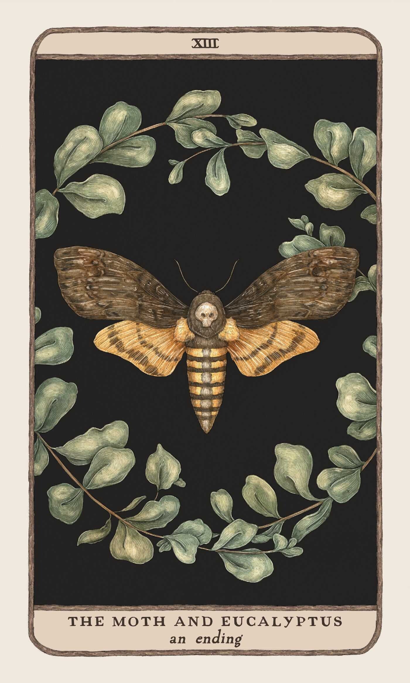 the moth and eucalyptus card