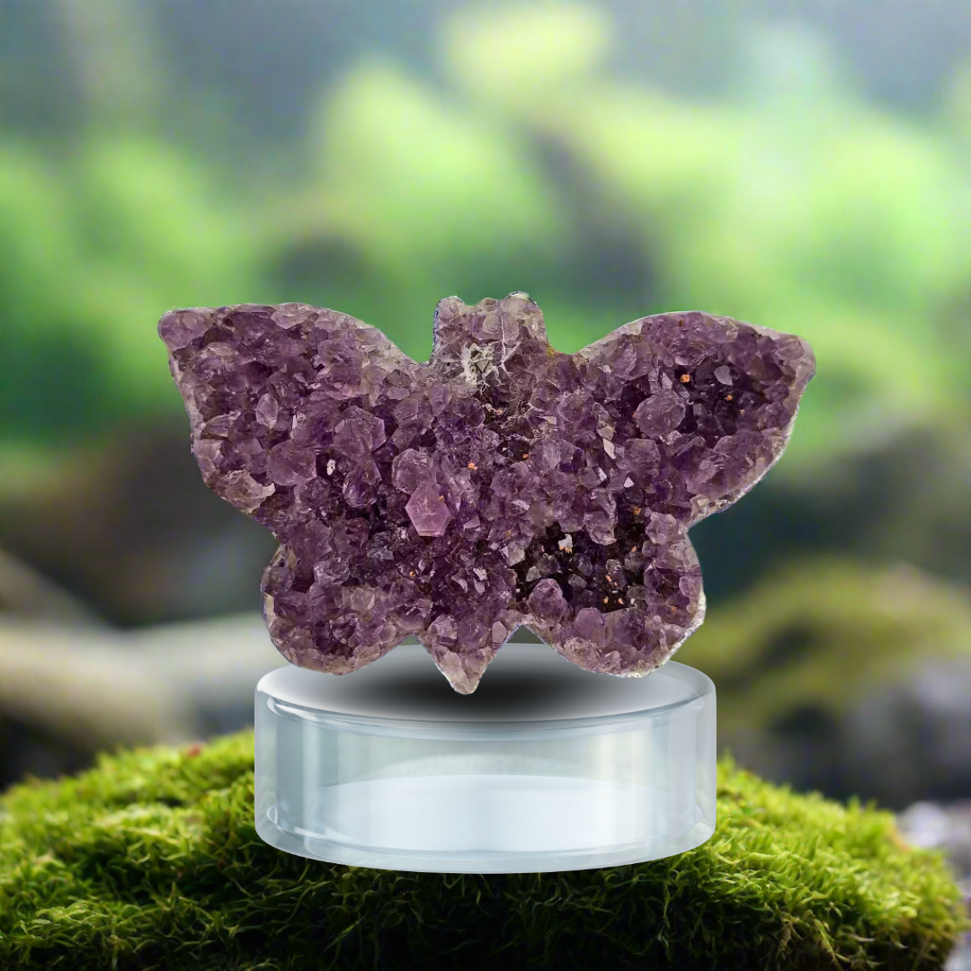 amethyst butterfly