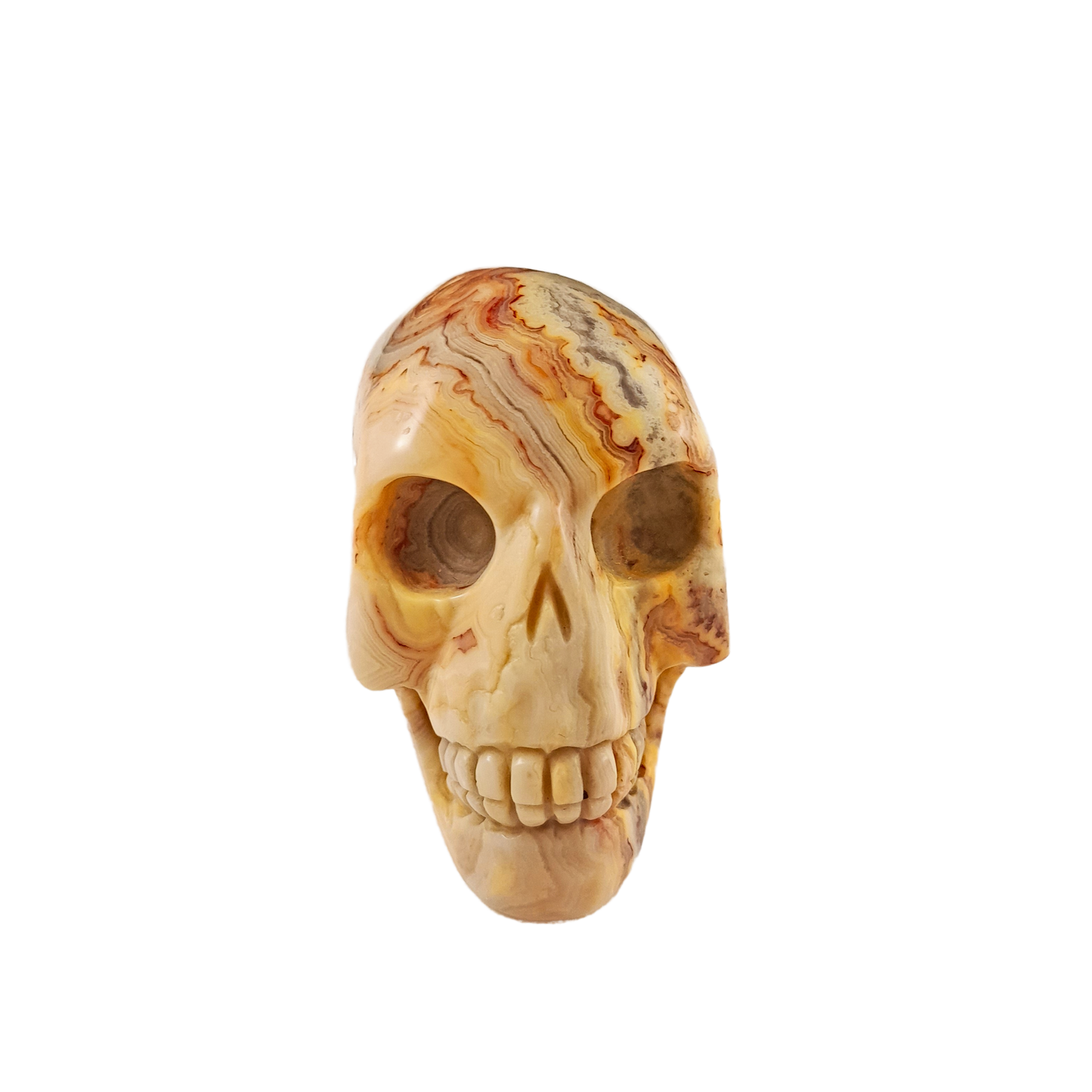 elongated crazy lace agate skull front