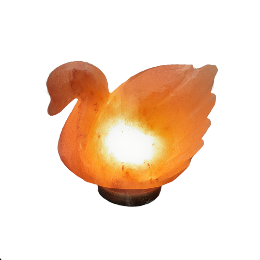 swan shaped himalayan salt lamp
